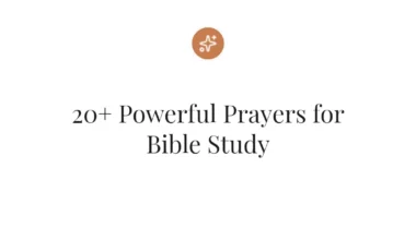 20+ Powerful Prayers for Bible Study