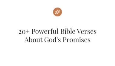 20+ Powerful Bible Verses About God's Promises