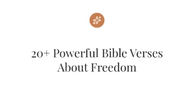 20+ Powerful Bible Verses About Freedom